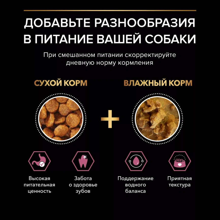Сухой корм PRO PLAN Salmon для взрослых собак мелких и карликовых пород с чувствительной кожей, с высоким содержанием лосося, 3 кг фото 4