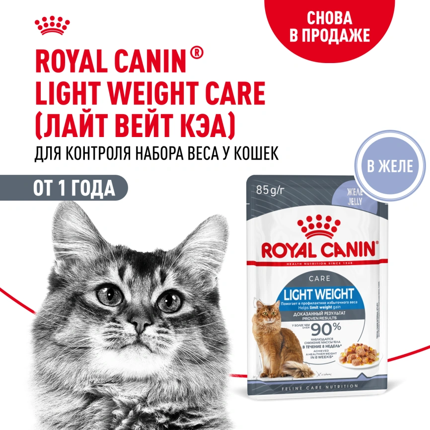 Влажный корм Royal Canin Light Weight Care в соусе для взрослых кошек, склонных к полноте, пауч, 85 г фото 15