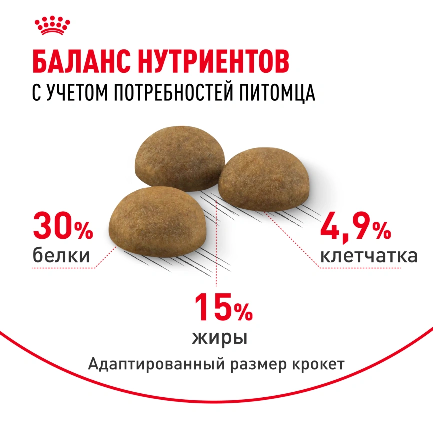 Сухой корм Royal Canin Indoor Long Hair для кошек, 2 кг фото 4