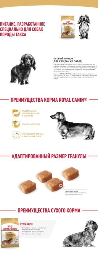 Сухой корм Royal Canin Dachshund Adult для собак породы такса, 7,5 кг фото 14