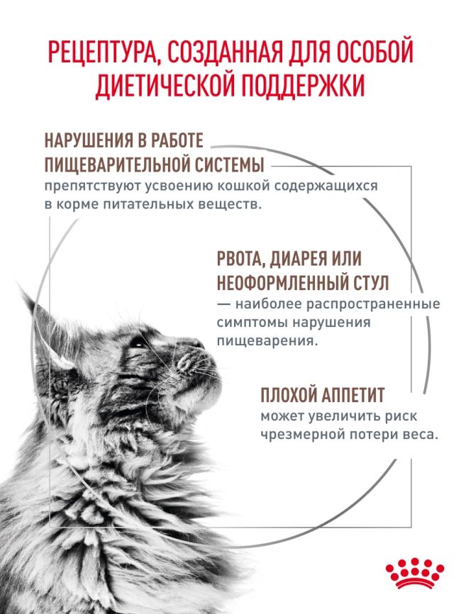 Сухой корм Royal Canin Diabetiс для кошек, 350 г фото 22