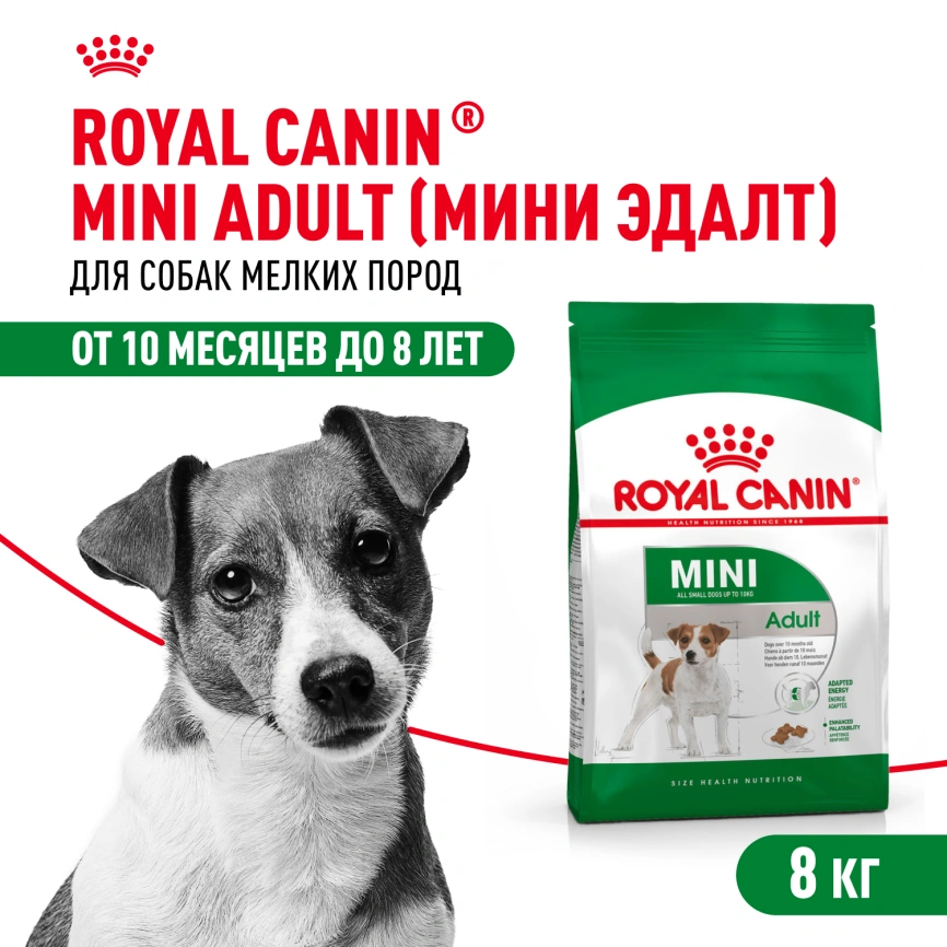 Сухой корм Royal Canin Mini Adult для взрослых собак, 8 кг фото 1