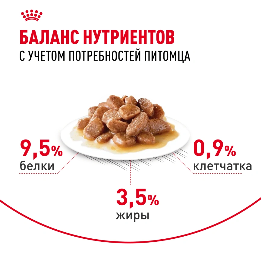 Влажный корм Royal Canin Digest Sensitive в соусе для улучшения пищеварения у взрослых кошек старше 1 года, пауч, 85 г фото 5