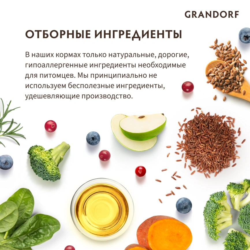 Сухой корм Grandorf 4 Meat Probiotic Med & Maxi Четыре вида мяса для взрослых собак средних и крупных пород, 10 кг фото 8
