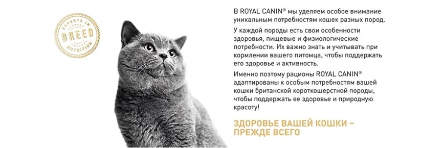 Сухой корм Royal Canin Maine Coon для кошек, 4 кг фото 16