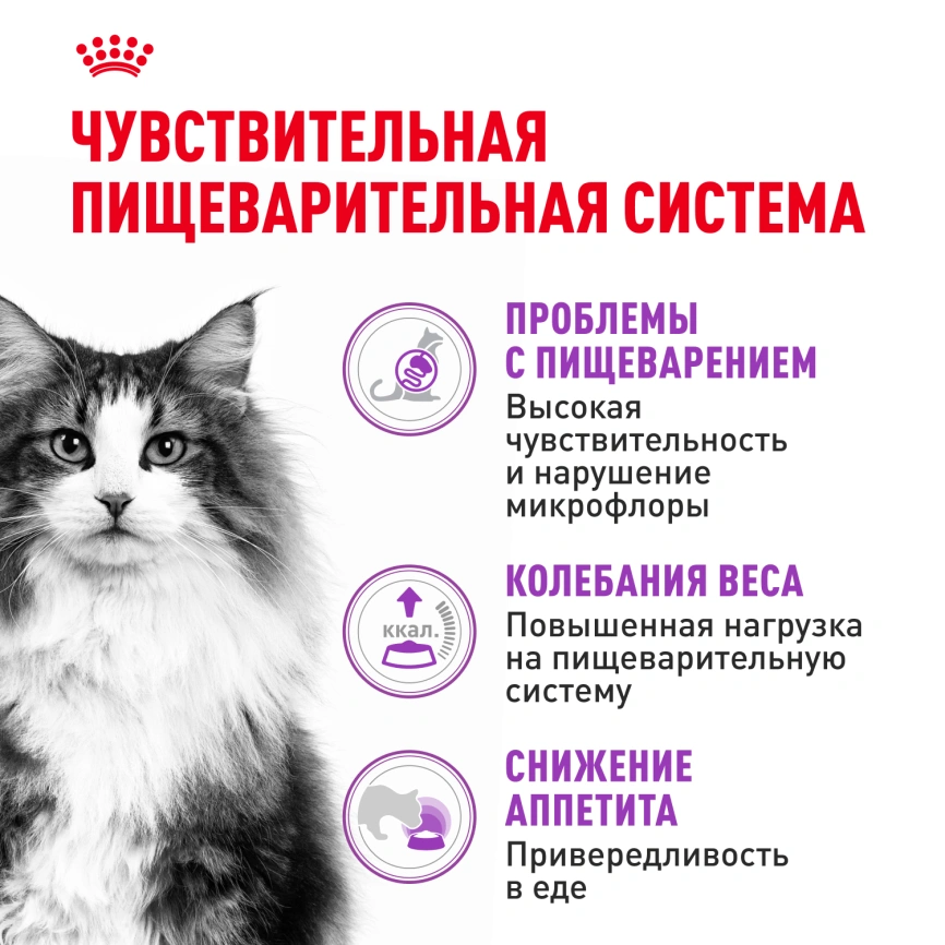 Сухой корм Royal Canin Sensible для кошек, 1,2 кг фото 3