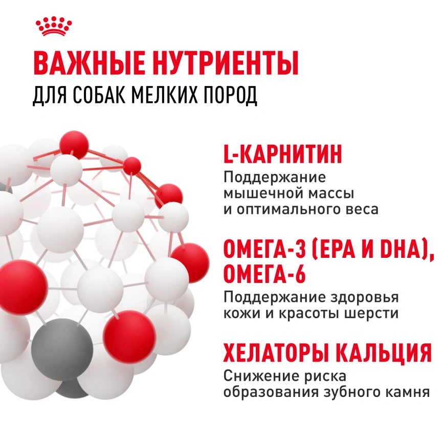 Сухой корм Royal Canin Mini Adult для взрослых собак, 800 фото 5