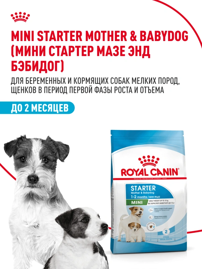 Сухой корм Royal Canin Mini Starter Mother & Babydog для щенков и кормящих сук, 1 кг фото 14