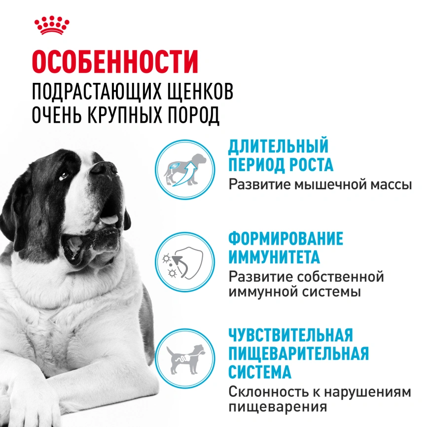 Сухой корм Royal Canin Giant Junior для щенков, 3.5 кг фото 2