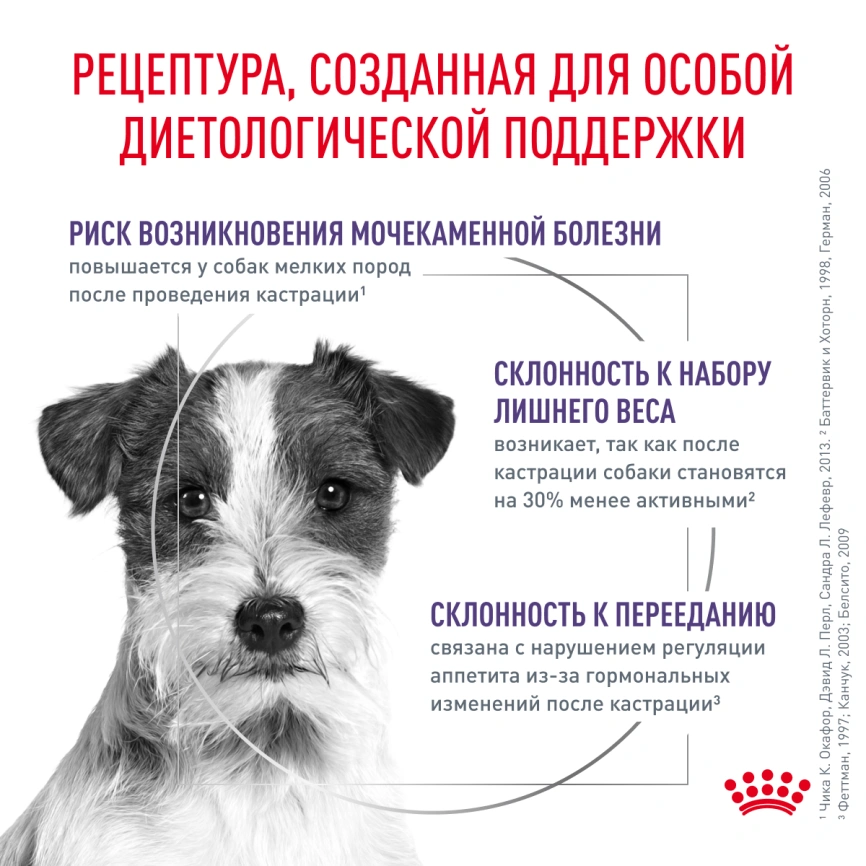 Сухой корм Royal Canin Neutered Adult Small Dogs для стерилизованных собак мелких пород, 3.5 кг фото 2