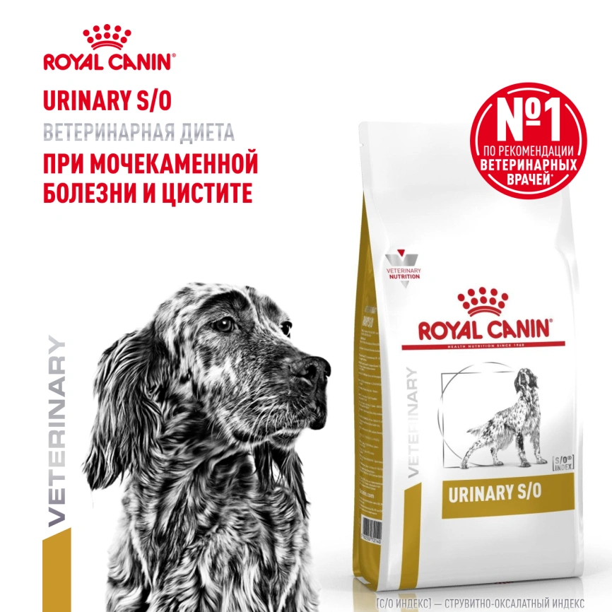 Сухой корм Royal Canin Urinary S/O для собак при мочекаменной болезни и цистите, 2 кг фото 13