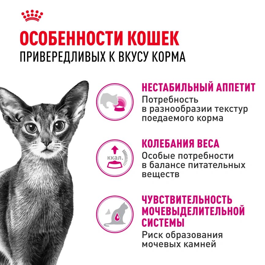 Сухой корм Royal Canin Savour Exigent для кошек, 400 г фото 2