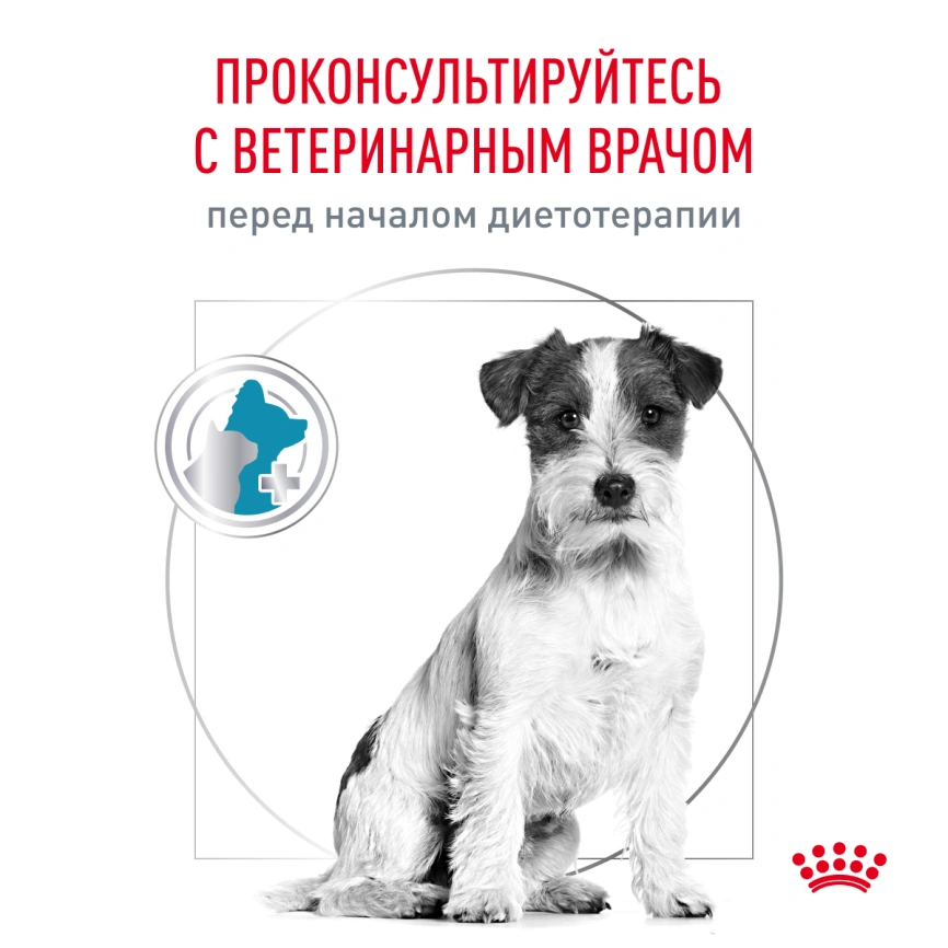 Сухой корм Royal Canin Hypoallergenic Small Dogs для собак, 3.5 кг фото 3