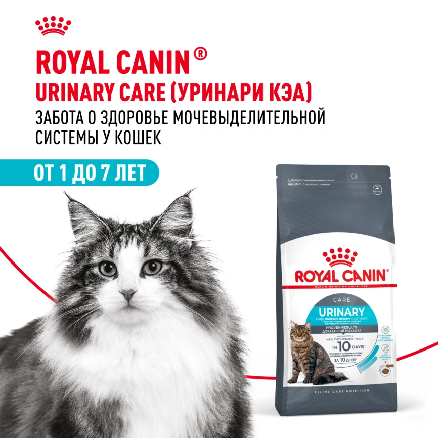 Сухой корм Royal Canin Urinary Care для кошек для профилактика МКБ, 400 г фото 13
