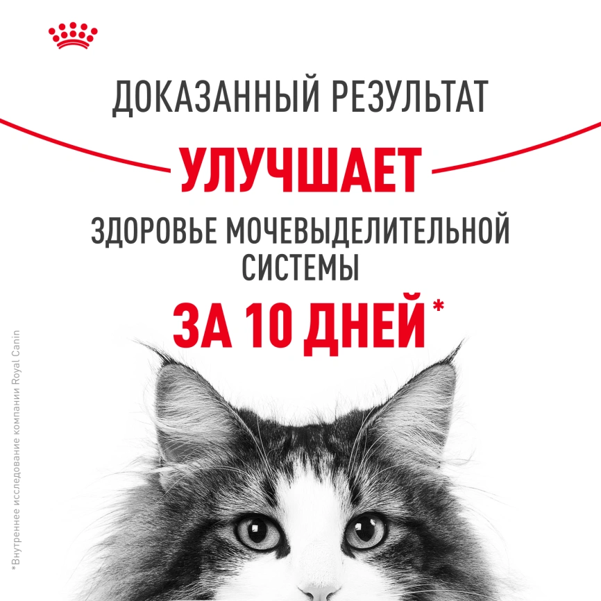 Сухой корм Royal Canin Urinary Care для поддержания здоровья мочевыделительной системы кошек, 4 кг фото 14