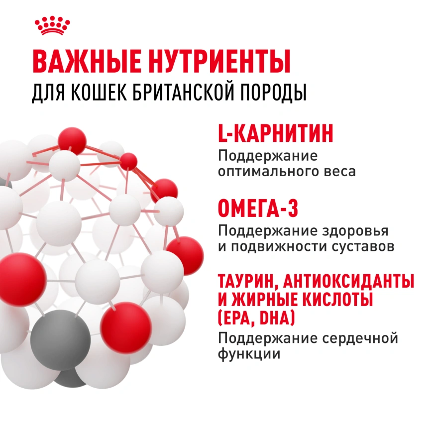 Сухой корм Royal Canin British Shorthair для кошек породы британская короткошерстная, 2 кг фото 5