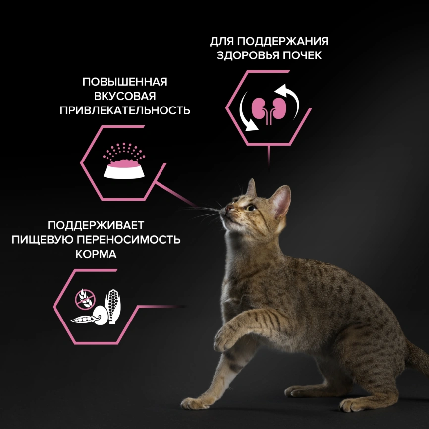 Сухой корм Purina Pro Plan Delicate Opti-Digest Lamb для кошек с чувствительным пищеварением, с ягненком, 1.5 кг фото 2