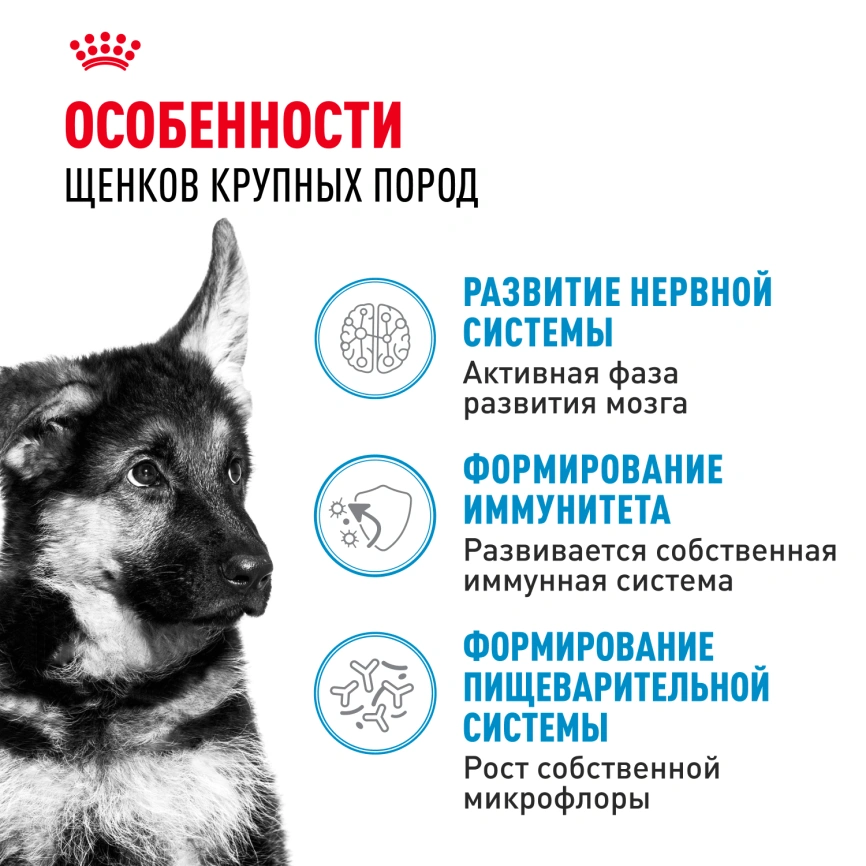 Сухой корм Royal Canin Maxi Puppy для щенков, 3 кг фото 2