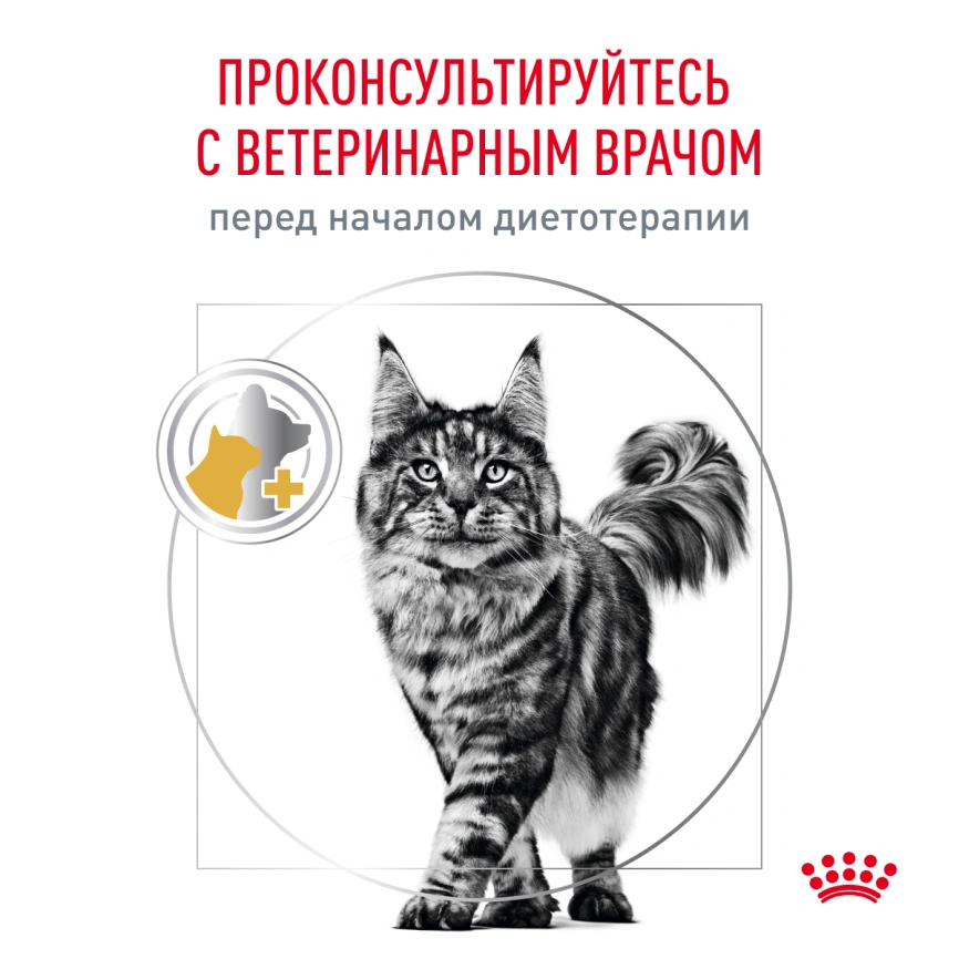 Сухой корм Royal Canin Urinary S/O Moderate Calorie для кошек, 1,5 кг фото 8