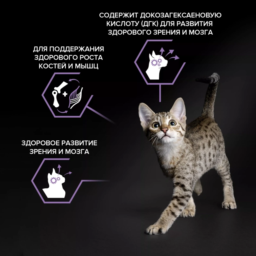 Сухой корм PRO PLAN + 200 г Chicken для котят до года, с высоким содерж., с курицей, 400 г фото 2