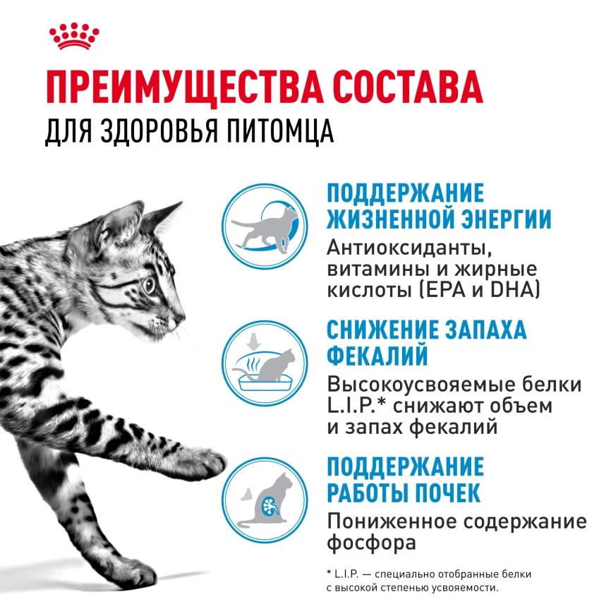 Сухой корм Royal Canin Indoor 7+ для кошек, 400 г фото 6