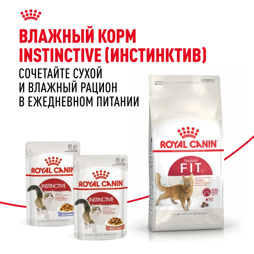 Сухой корм Royal Canin Fit для кошек, 400 г фото 8
