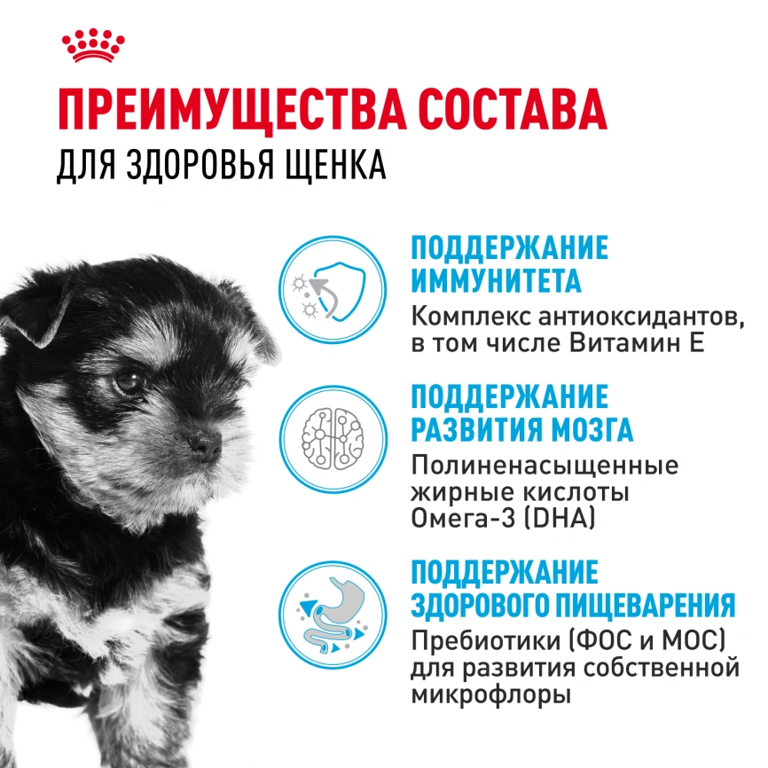 Сухой корм Royal Canin Yorkshire Terrier Puppy для щенков, 1.5 кг фото 3