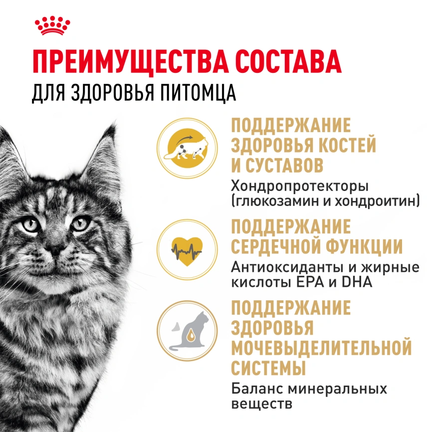 Сухой корм Royal Canin Maine Coon для кошек, 400 г фото 3