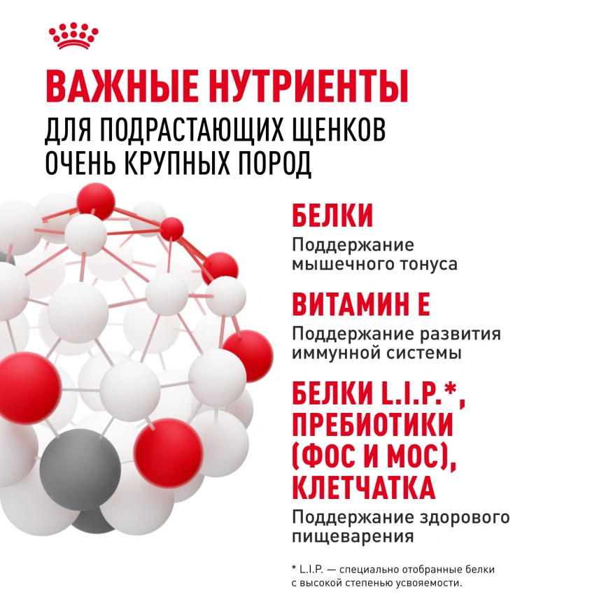 Сухой корм Royal Canin Giant Junior для щенков, 3.5 кг фото 4