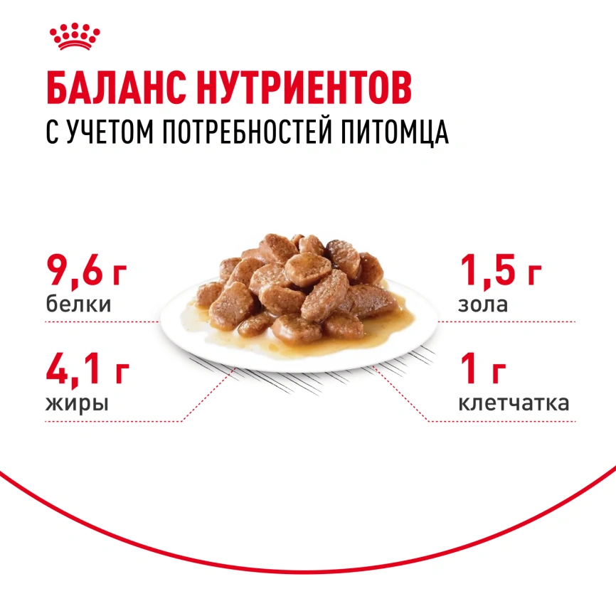 Влажный корм Royal Canin Ageing 12+ в желе для стареющих кошек старше 12 лет, пауч, 85 г фото 4