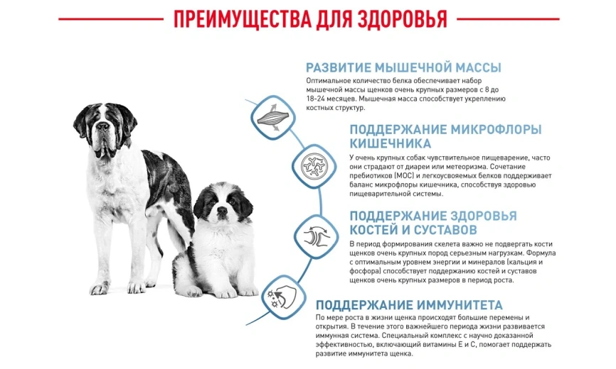 Сухой корм Royal Canin Giant Junior для щенков, 15 кг фото 14