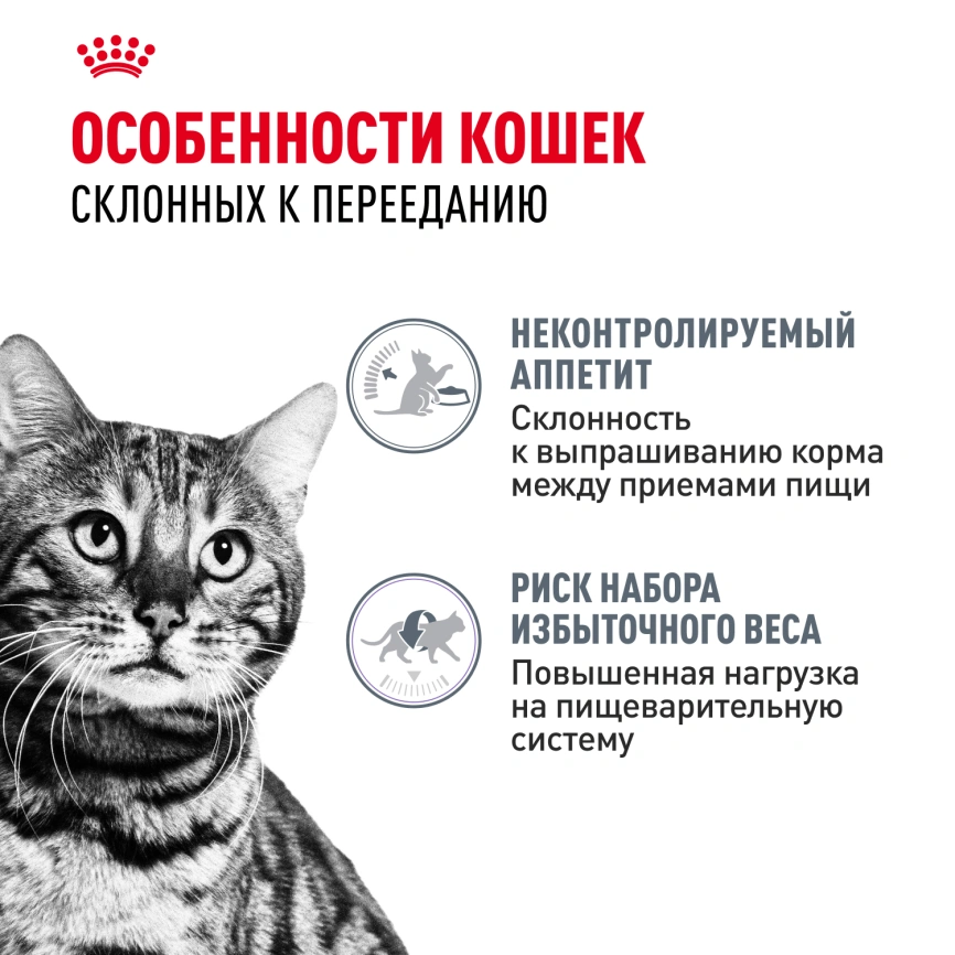 Сухой корм Royal Canin Appetite Control Care для кошек для контроля аппетита, 2 кг фото 2