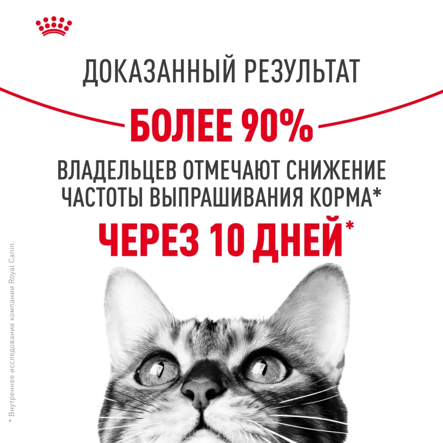 Сухой корм Royal Canin Appetite Control Care для кошек для контроля аппетита, 400 г фото 11
