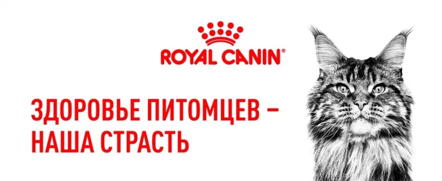 Сухой корм Royal Canin Sterilised для кастрированных котов и стерилизованных кошек, 2 кг фото 18