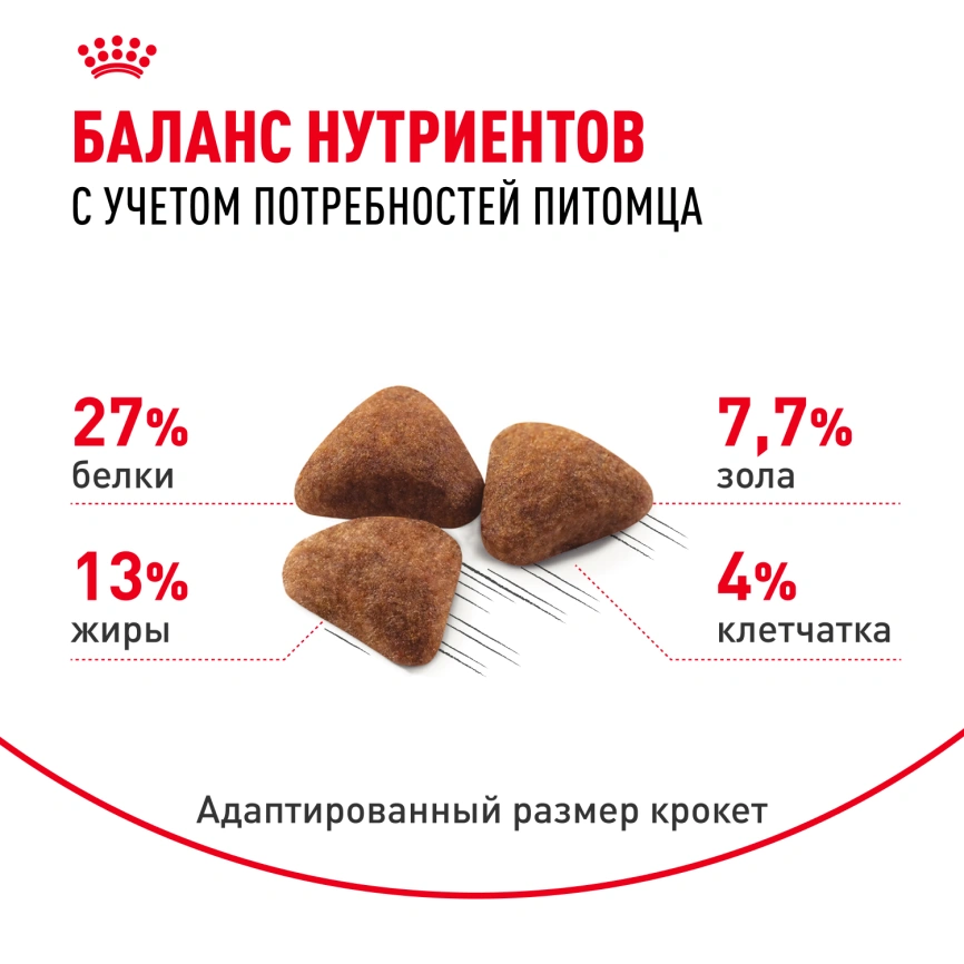 Сухой корм Royal Canin Indoor для кошек, 400 г фото 4