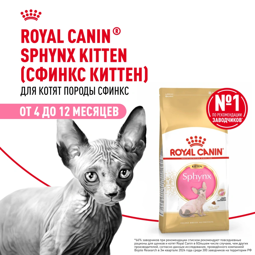 Сухой корм Royal Canin Kitten Sphynx для котят, 2 кг фото 13