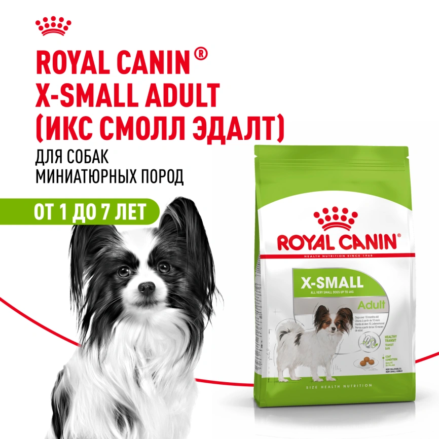 Сухой корм Royal Canin X-Small Adult для собак, 1.5 кг фото 22