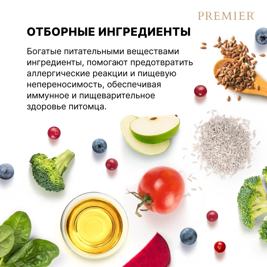 Сухой корм Premier Dog Lamb & Turkey Adult Mini для собак мелких пород, 8 кг фото 7