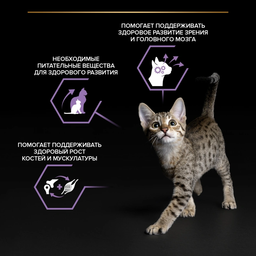 Влажный корм Purina Pro Plan Kitten Healthy Start (Mix) набор паучей для котят (говядина/индейка/курица), 85 г фото 2