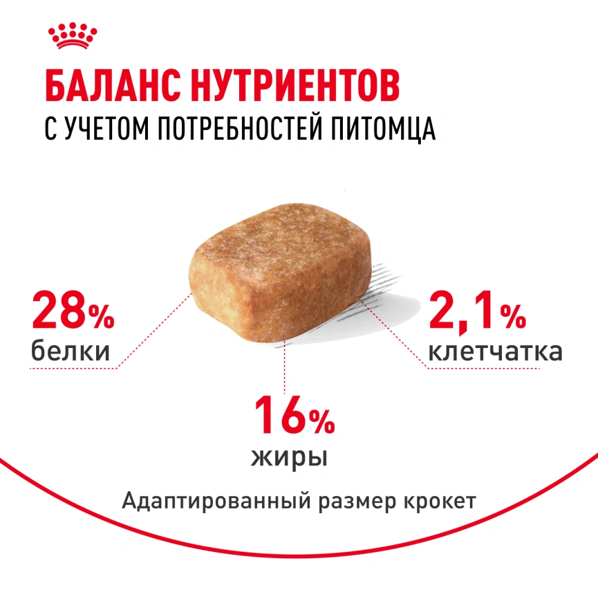 Сухой корм Royal Canin Cocker Adult для собак породы кокер-спаниель, 3 кг фото 4