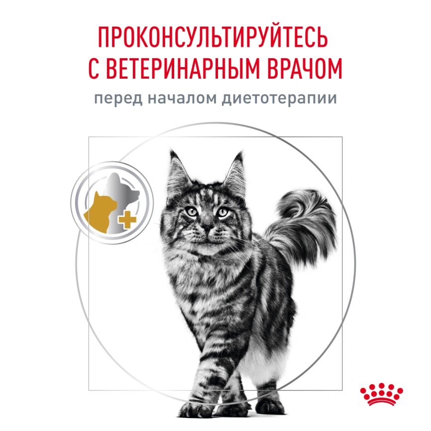 Влажный корм Royal Canin Urinary S/O Moderate Calorie в соусе для кошек при мочекаменной болезни, пауч, 85 г фото 8