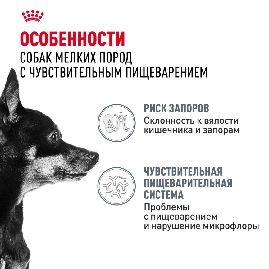 Сухой корм Royal Canin Mini Digestive Care для собак, 3 кг фото 2