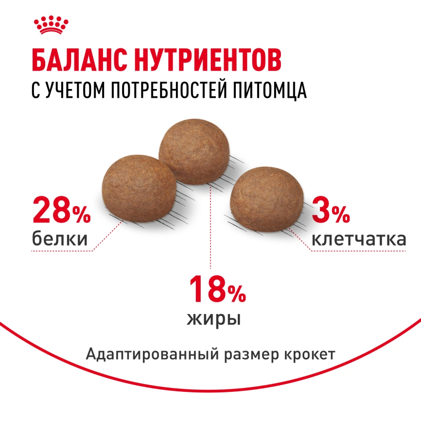 Сухой корм Royal Canin Maxi Digestive Care для собак, 3 кг фото 4