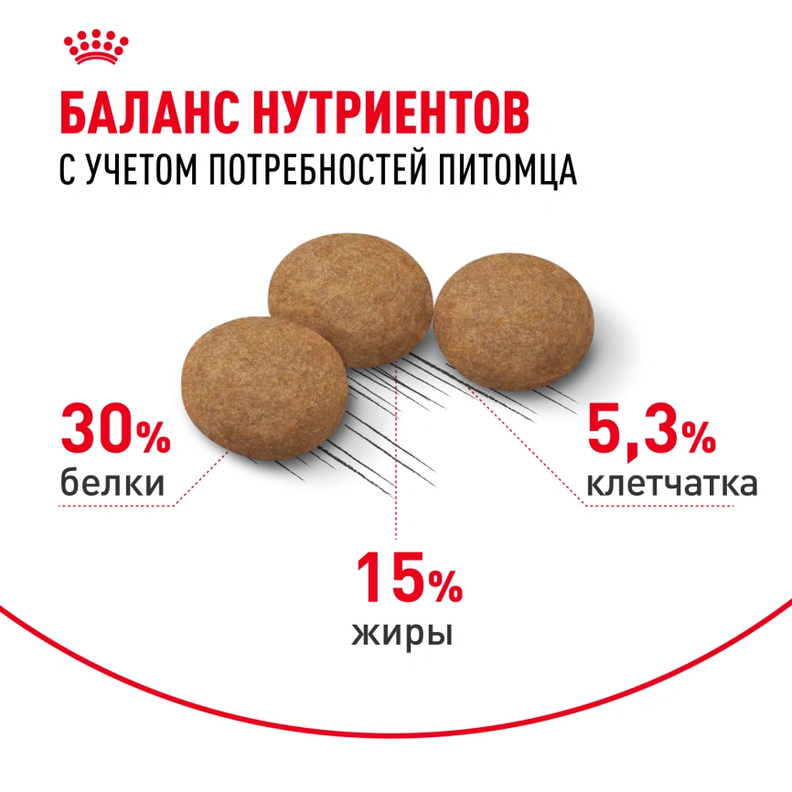 Сухой корм Royal Canin Ageing Sterilised 12+ для стерилизованных кошек старше 12 лет, 4 кг фото 4
