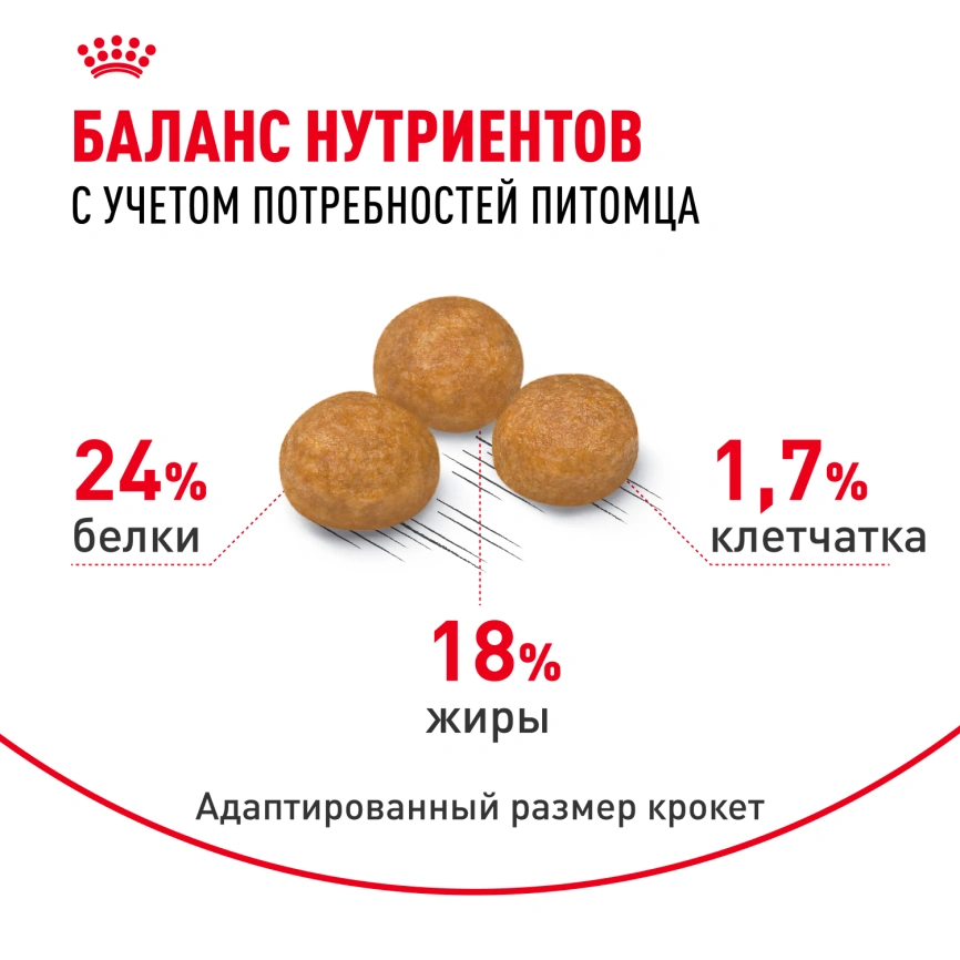 Сухой корм Royal Canin X-Small Adult для собак, 1.5 кг фото 4