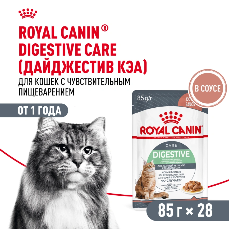 Влажный корм Royal Canin Digest Sensitive в соусе для улучшения пищеварения у взрослых кошек старше 1 года, пауч, 85 г фото 12