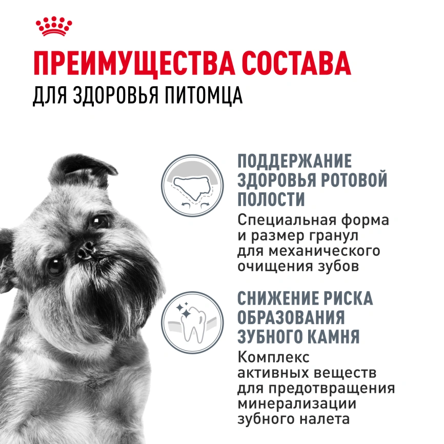 Сухой корм Royal Canin Mini Dental Care для собак, 1 кг фото 3