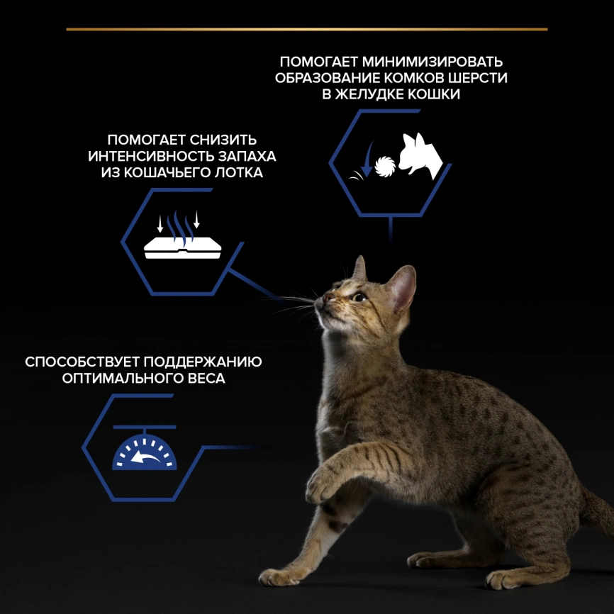 Влажный корм Purina Pro Plan Indoor для взрослых кошек в помещении, с лососем в соусе, 85 г фото 2