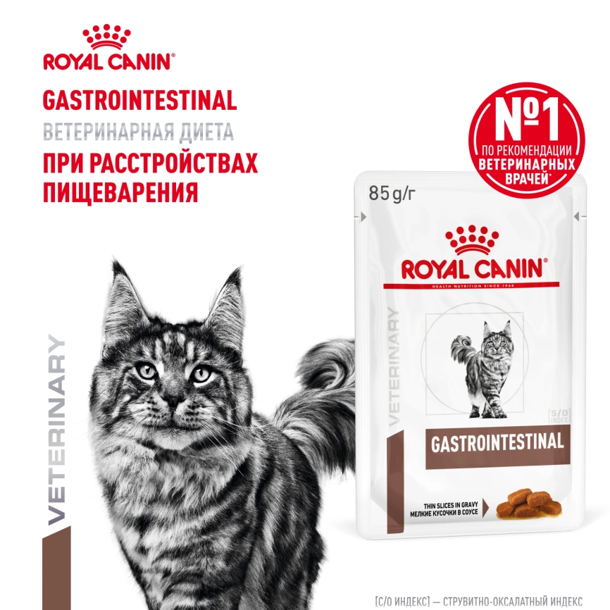 Влажный диетический корм Royal Canin Gastrointestinal для кошек при расстройствах пищеварения, пауч, 85 г фото 14