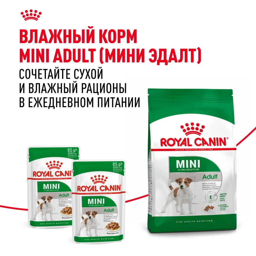 Сухой корм Royal Canin Mini Adult для взрослых собак, 8 кг фото 8